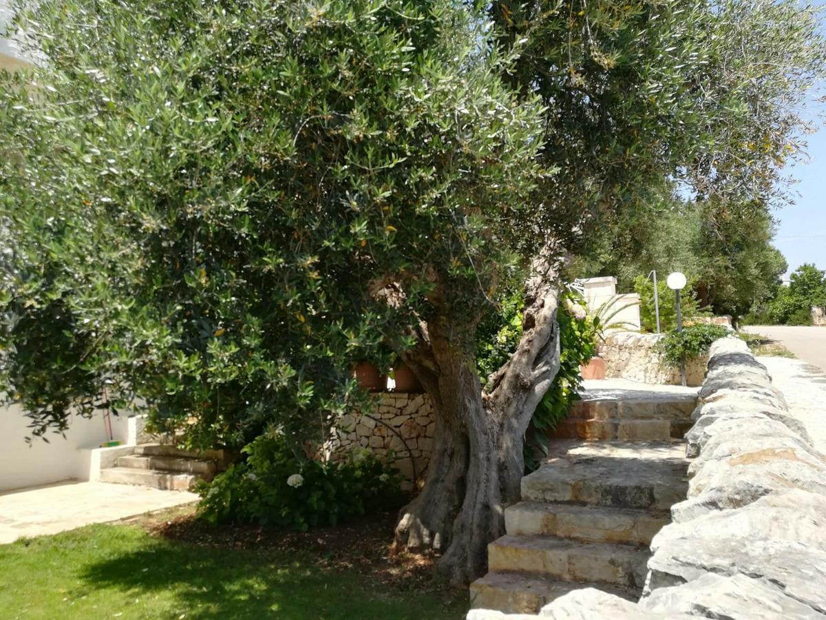 Residenza Aurora Aparthotel Ostuni Kültér fotó